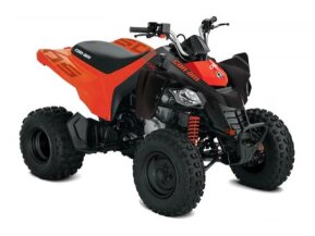 2021 Can-Am DS 250 for sale 201220447